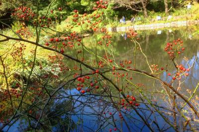 都内なのに自然の面影を残した希少な植物園～♪