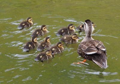 梅雨の季節、カメラを抱えて宇都宮散策