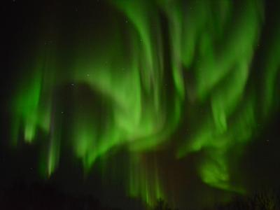 第3回北欧オーロラ紀行vo.10新年のトロムソ オーロラ後半!