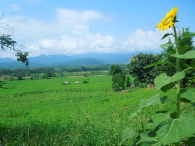 タイ北部の街道をバイクでＧＯ！その９　パーイの田園風景