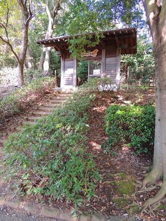 バラとススキに癒される　自然が豊富、秋の野津田公園