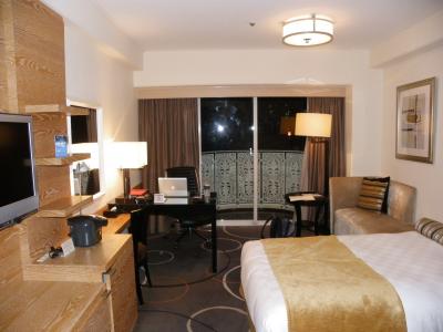 ソリちゃんのペルー・アマゾン旅行記