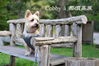 Cobbyと那須高原...（2）