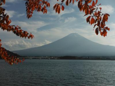 富士山を眺める旅～御殿場高原ビール、御胎内清園、山中湖、忍野八海、河口湖～