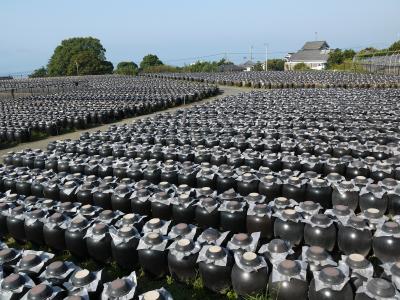 鹿児島ぶらり旅～霧島～指宿～知覧～種子島～屋久島　☆２日目☆