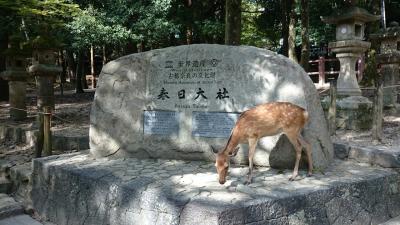 春日大社、燈火会