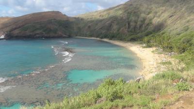 ２０１４年夏　ハワイ旅行　オアフ島　ワイキキ編　（５日目：ハナウマ湾とカイルア散策）