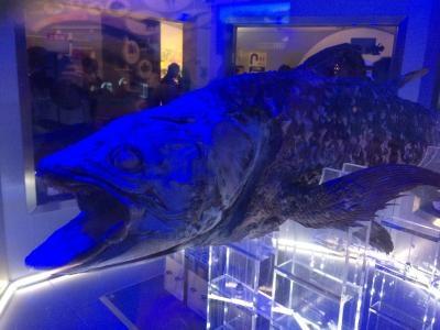 沼津で深海水族館と深海魚を味わうの巻