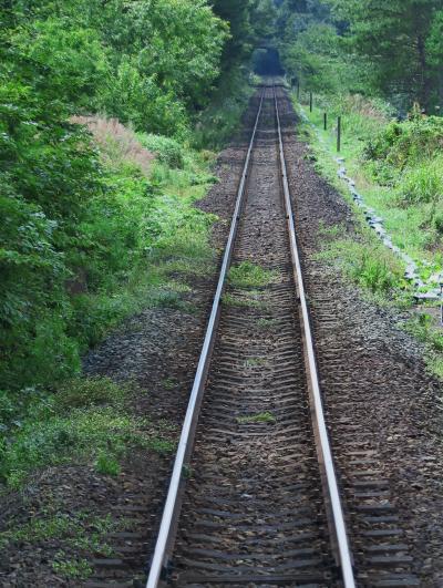 三陸鉄道　(久慈～普代)乗車して　☆全線で運転再開おめでとう！