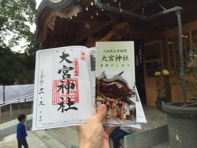 ♪14年 文化の日 御朱印ガールならぬ御朱印おじさんシリーズ 市原市五井 大宮神社へ