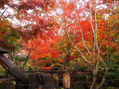 2014年　日帰りで河口湖周辺の美術館めぐり♪