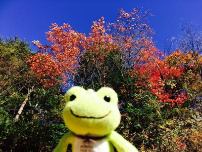 ぶらり わたらせ渓谷鉄道