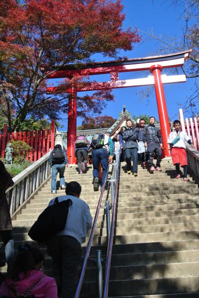 もみじ祭りの『高尾山ハイキング』