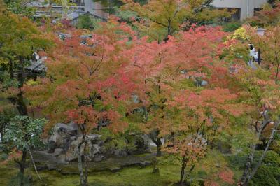 初秋の京都と寺院めぐり-①