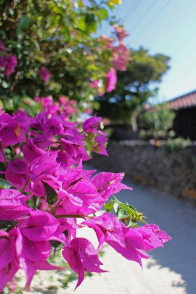 まーる♪うむっさん～☆八重山はまだ夏でした！！！夕暮れの竹富島＋石垣でのお買い物編　vol.3