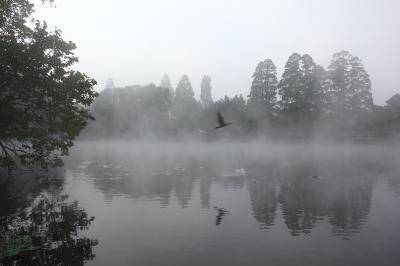 2014年秋　初めての湯布院　金鱗湖