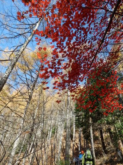 奥秩父・南天山と中津峡の紅葉