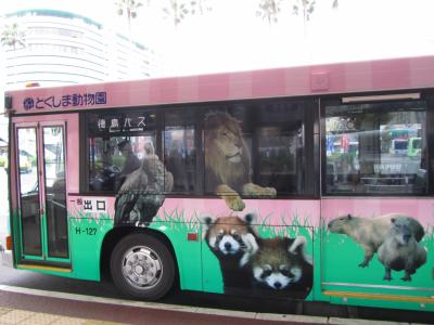 ついに四国遠征！～高速夜行バスでレッサーパンダに会いに・徳島編（２）動物園提携ラッピング・バスでとくしま動物園へ＆紅葉が始まって散策もステキなとくしま動物園