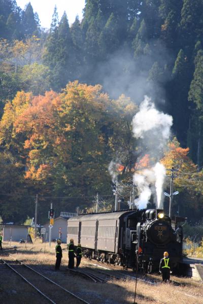 紅葉の季節。。『ＳＬ　Ｃ１１ 325』を追いかけて。。。奥会津　　只見線