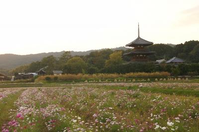 関西散歩記～2014 奈良・斑鳩町編～