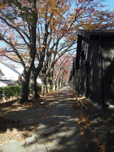 日本一の米「山居米」の巨大倉庫ｉｎ山居倉庫