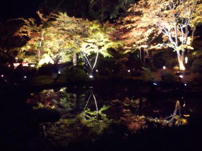 松島紅葉ライトアップ　円通院いきました！
