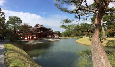 京都には17の世界遺産があるがその内の2つは宇治市にある　2014年11月
