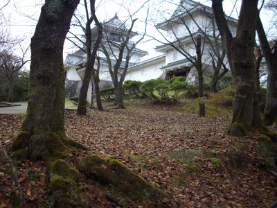 晩秋の悠久山散策