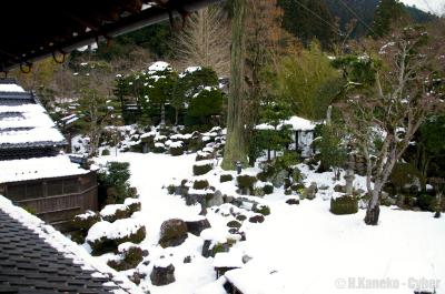 真冬の山陰を巡る旅 - 鳥取編