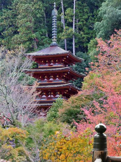 秋の大和路・大和長谷寺を散策 「花の御寺・総本山」