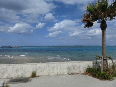 沖縄に行ってきましたぁ～～っ☆⑤路線バスで行く～恩納村・道の駅かでな