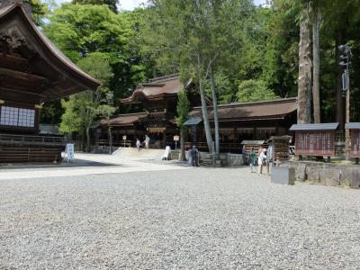 春の「長野」、爽やか紀行！・・・美しい春の「長野県」を散策しました。天気が良くて最高でしたよ！