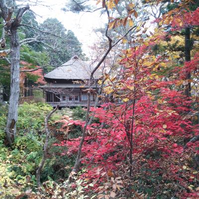 函館公園と香雪園の紅葉を見に♪