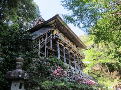 ★2014年5月★ネコが道案内してくれるかも？日龍峰寺【岐阜】