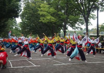 原宿表参道元氣祭 スーパーよさこい２０１３