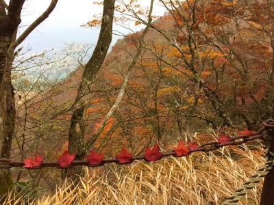 金時山登ってきました( ´ ▽ ` )ﾉ