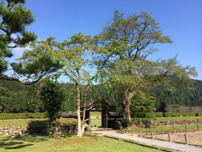 一乗谷朝倉氏遺跡。。ひろーい( ´ ▽ ` )ﾉ