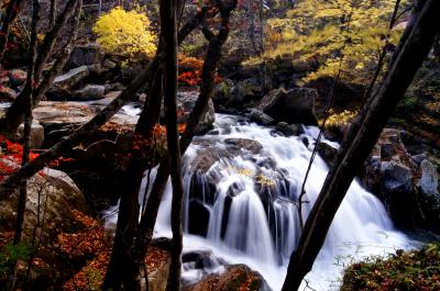 ◆晩秋の福島、山鶏滝の燃える紅葉