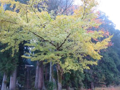 2014.11月日本のミケランジェロ石川雲蝶の作品と美味し日本酒を求めて～新潟日帰り旅行～