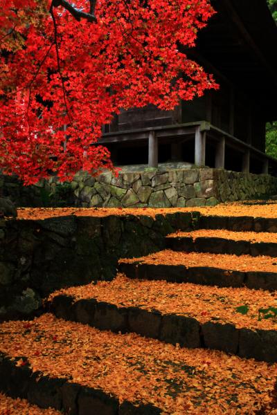 兵庫　丹波篠山もみじ三山～文保寺、大国寺、高蔵寺