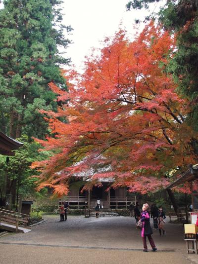 §§　晩秋の中尊寺　§§