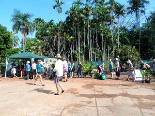 "安い、近い、短い旅行の記録　⑨　Botanic Garden Plant Saleに行ってきました。ダーウィン編”　２０１４年１１月９日（日曜日）