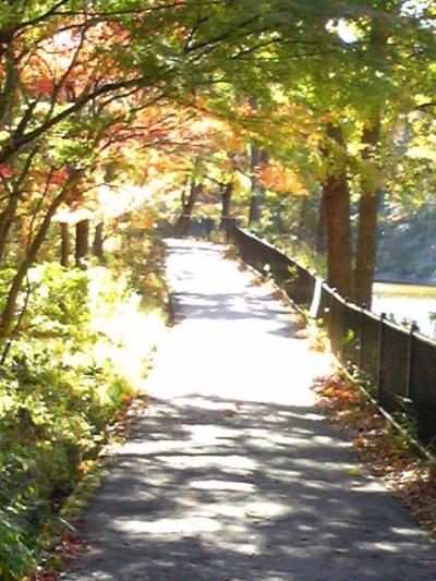 八丁湖紅葉　埼玉街歩きー吉見町