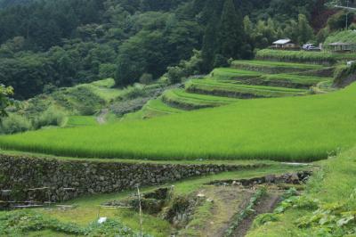 2014.7 大雨の恵那峡と坂折棚田