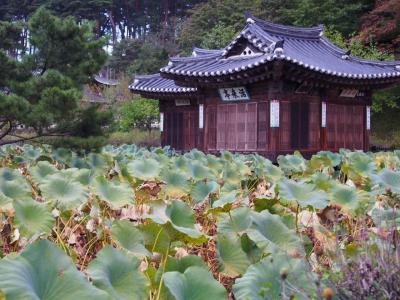 14’鳥取県・江原道交流20周年記念旅行　江原道/江陵・平昌