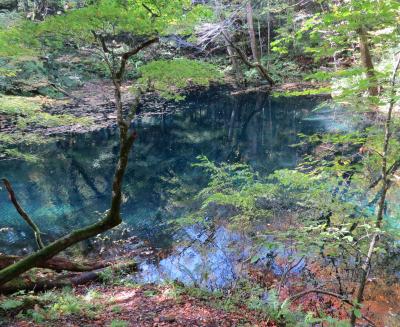 津軽出羽の紅葉・・白神の湖沼群十二湖と千畳敷をめぐります。