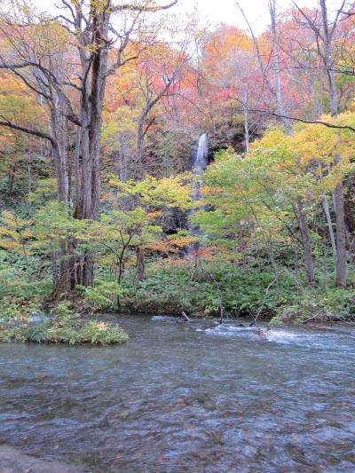 津軽出羽の紅葉・・十和田湖と奥入瀬渓流をめぐります。