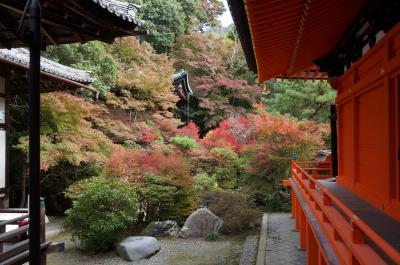 紅葉色づき始めた京都の旅