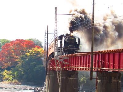 秋真っ盛り！奥大井寸又峡ドライブの旅　