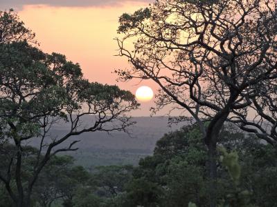 Marvelous!!サバンナの虹と夕陽は神様からの贈り物　　　《タンザニア》アルーシャ＆セレンゲティ国立公園＆ザンジバル⑦　